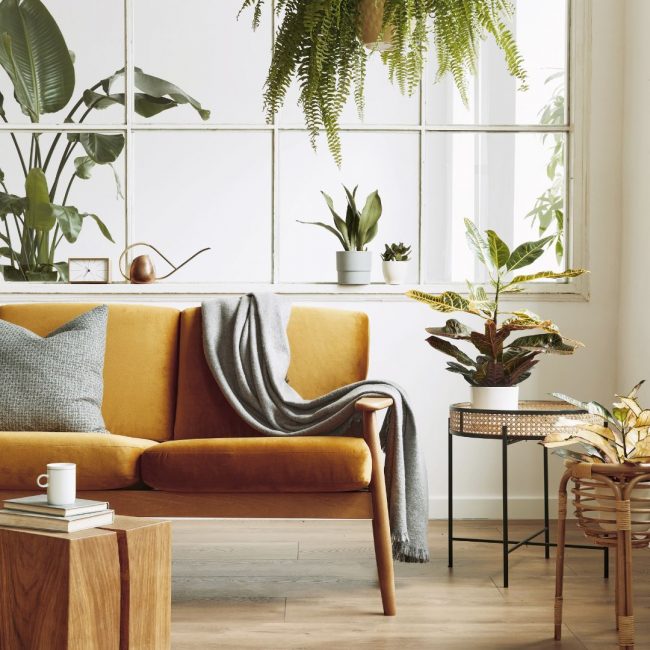 home staging